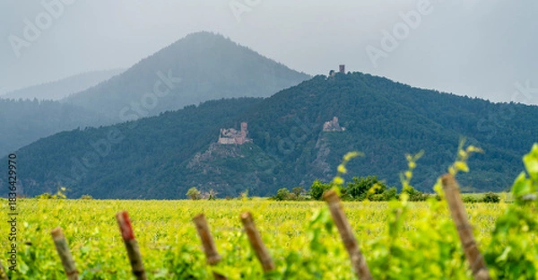 Obraz Idyllic Alsace scenery