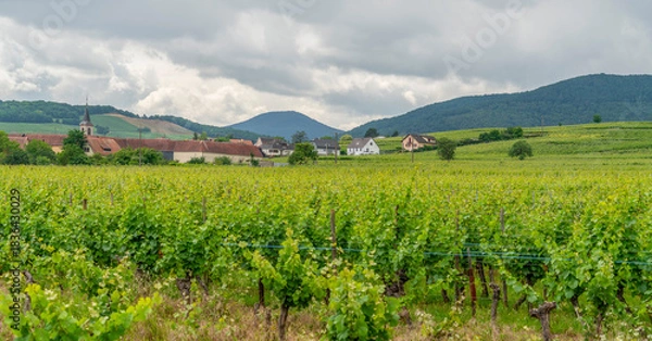 Obraz Idyllic Alsace scenery