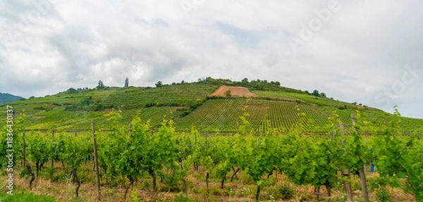 Obraz Idyllic Alsace scenery