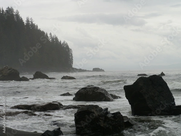 Obraz Vancouver Island