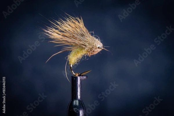 Fototapeta Trockenfliege