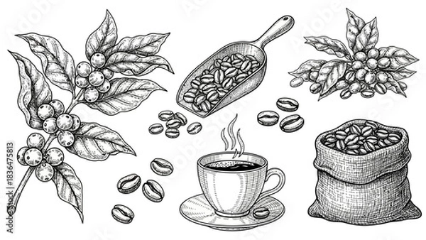 Obraz hand drawn vector illustration of fresh vegetables