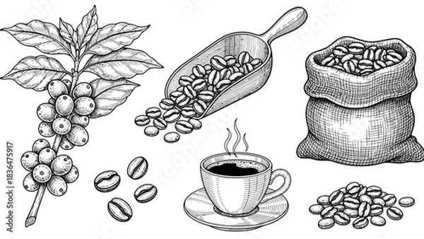 Obraz set of coffee cups