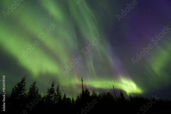 Obraz Northern lights