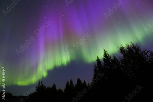 Obraz Northern lights