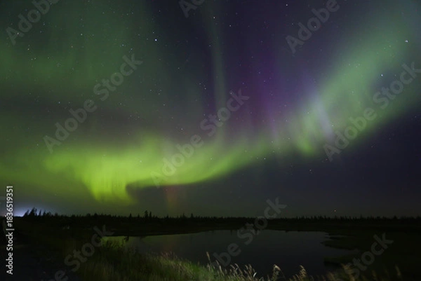 Obraz Northern lights