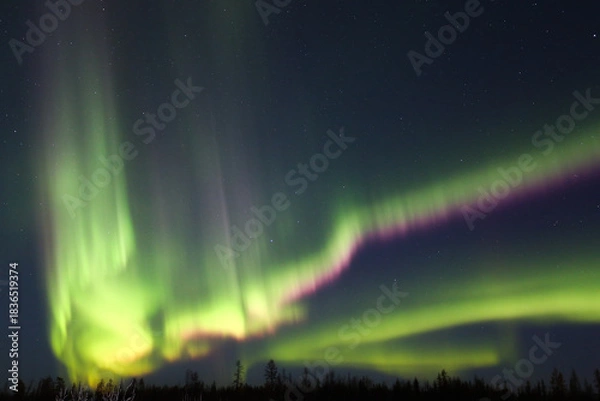 Obraz Northern lights