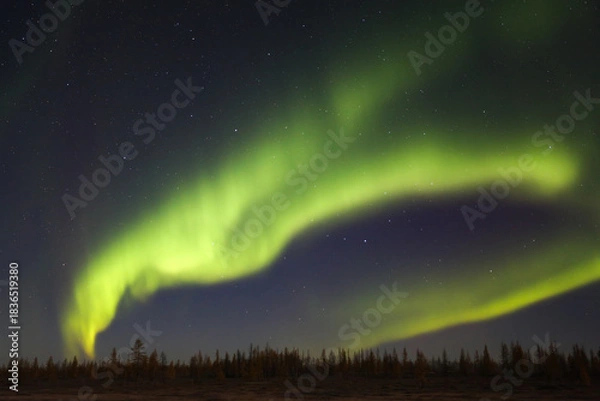 Obraz Northern lights