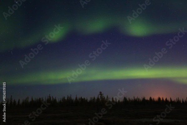 Obraz Northern lights