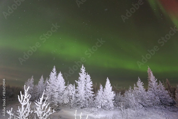 Obraz Northern lights