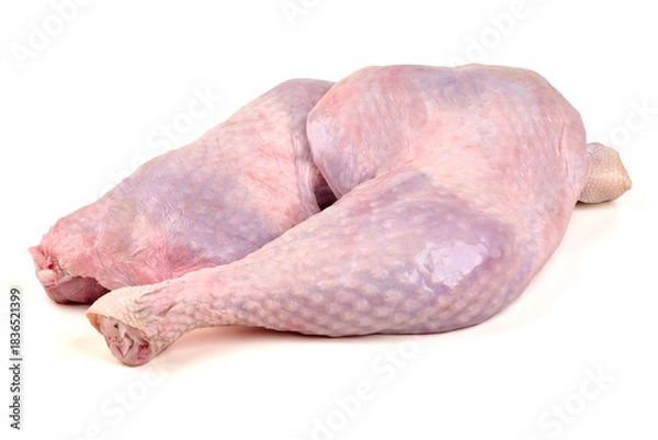Obraz Raw turkey legs, isolated on white background