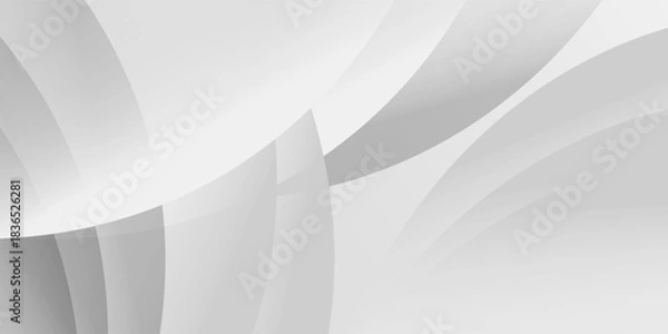 Fototapeta Gray tone color and white color and black color background abstract art vector. eps10