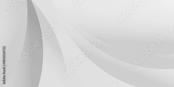 Fototapeta Gray tone color and white color and black color background abstract art vector. eps10