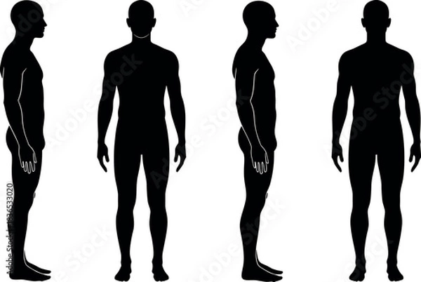 Obraz Human body silhouette set with front, back, left, right views for anatomy, fitness, medical, posture, and design reference.