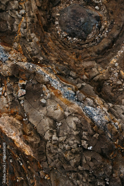 Obraz Textured rock surface displaying intricate patterns, showcasing natural geological formations with earthy tones and mineral deposits, emphasizing the beauty of nature's artistry. Background