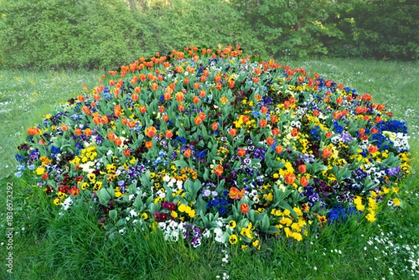 Obraz flowerbed
