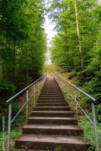 Obraz Treppe Wald Gerlingen