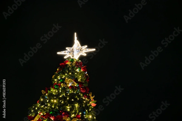 Fototapeta Evening Christmas Tree on the Central Square of Durrës