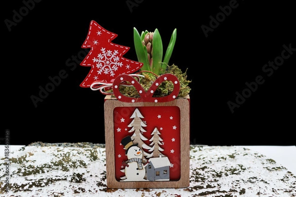 Obraz un jacinthe pour fêter Noël