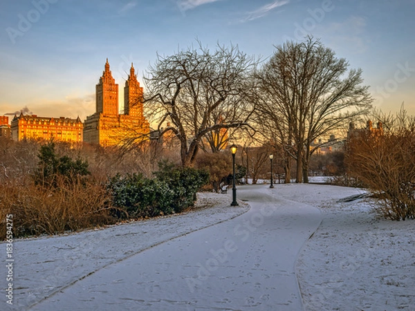 Obraz Central Park in winter  after light snow