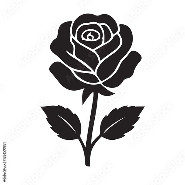 Obraz creative rose design using adobe illustrator and vactor ..