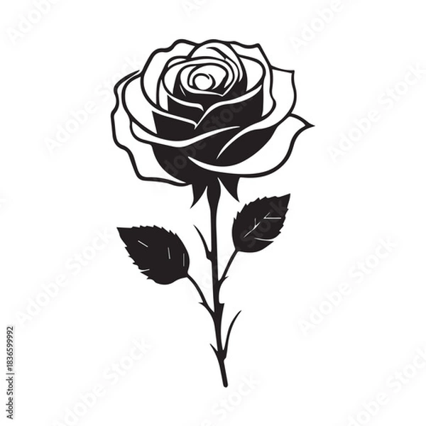 Fototapeta creative rose design using adobe illustrator and vactor..	