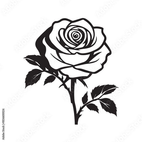Obraz creative rose design using adobe illustrator and vactor..	