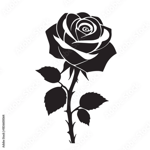 Fototapeta creative rose design using adobe illustrator and vactor..	