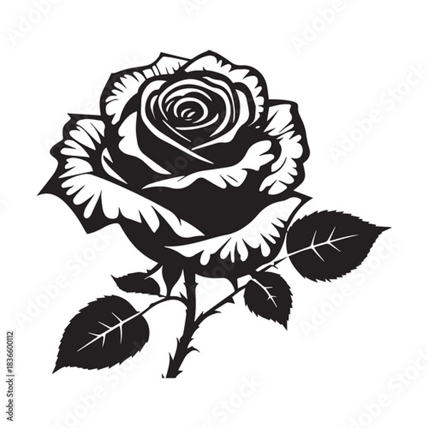 Obraz creative rose design using adobe illustrator and vactor..	