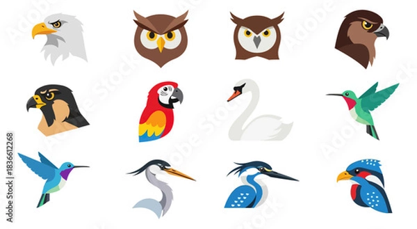 Fototapeta Diverse bird illustrations set on black background