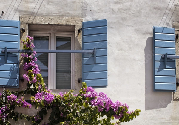 Fototapeta Close up view of windows with blue, wooden shutters and pink color flowers in Koper / Slovenia. It is a port city in Slovenia, on the country's Adriatic coastline.