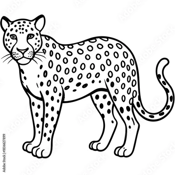 Obraz leopard vector illustration