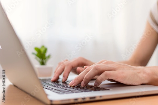 Obraz Woman typing on laptop computer