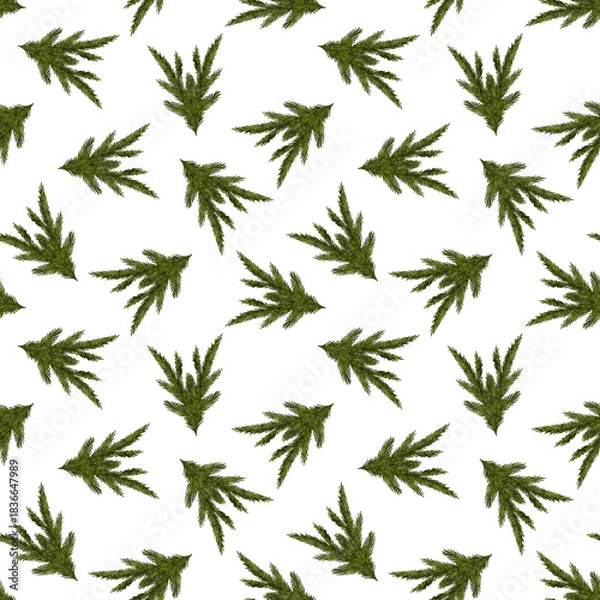 Fototapeta Green christmas tree branches, pine twigs repeat pattern on a white background.