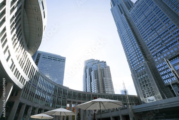 Fototapeta 青空に映える都庁