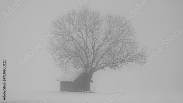 Obraz Winterlandschaft 