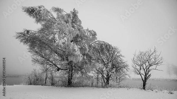 Obraz Winterlandschaft 