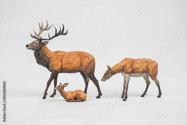 Obraz red deer on isolated background .