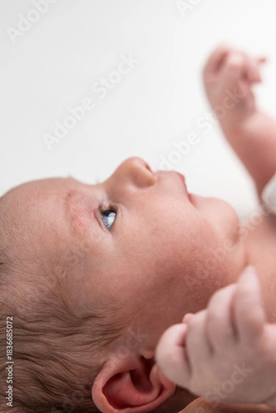 Fototapeta Newborn baby waking up with blue eyes