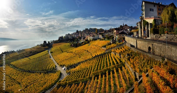 Obraz panorama of autumn vineyards in Switzerland