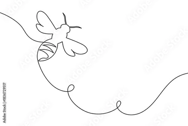 Obraz Minimalist bee continuous one line art vector illustration