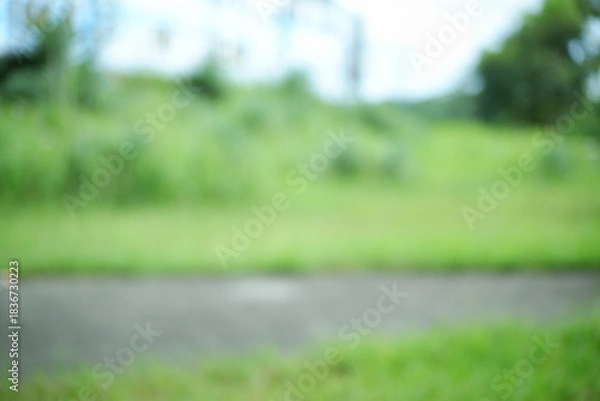 Fototapeta Defocused green garden abstract background. A peaceful park setting with vivid green trees and a grassy field, captured with a gentle blur.