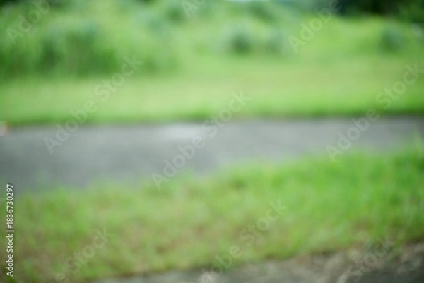 Fototapeta Defocused green garden abstract background. A peaceful park setting with vivid green trees and a grassy field, captured with a gentle blur.