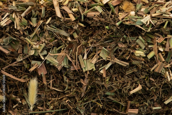 Fototapeta Compost from dry leaves background.