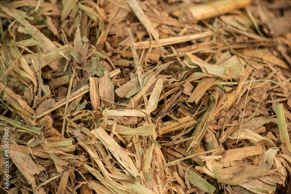 Fototapeta Compost from dry leaves background.