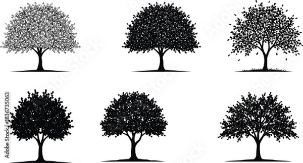 Fototapeta Set of deciduous tree silhouettes with diverse foliage shapes, botanical vector art for nature, forest, landscape, and environment design.