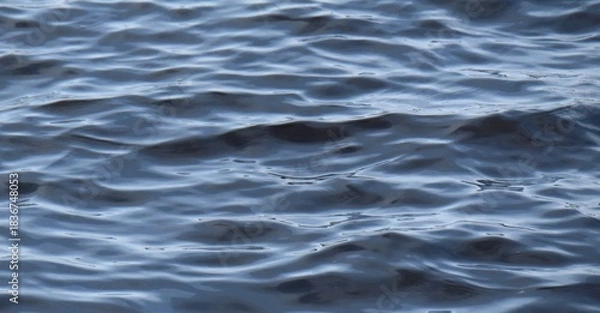 Obraz Natural ripples on blue water surface texture