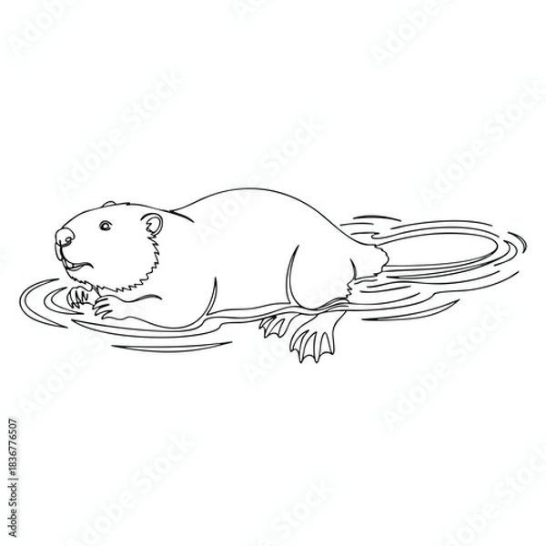 Fototapeta Simple Line Drawing of a Rodent Swimming