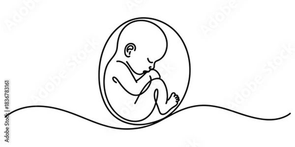 Fototapeta Minimalist continuous line art illustration of a human fetus inside the womb, representing prenatal development, new life, pregnancy. Vector, illustration