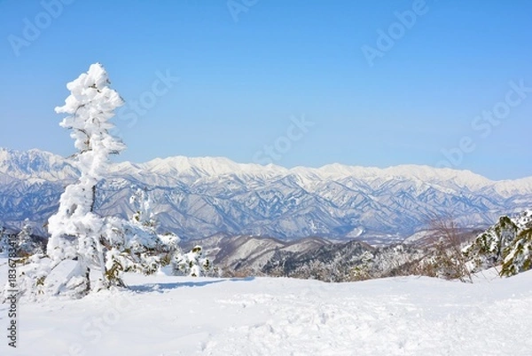 Fototapeta 雪の武尊山山頂の樹氷と越後の山々